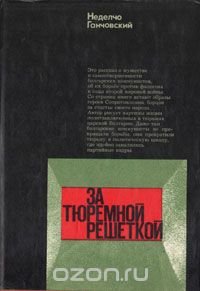 За тюремной решеткой. Воспоминания и размышления