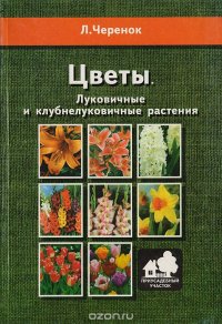 Цветы.  Луковичные и клубнелуковичные растения