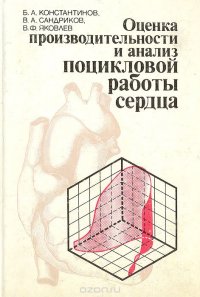 Оценка производительности и анализ поцикловой работы сердца