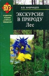 Экскурсии в природу. Лес