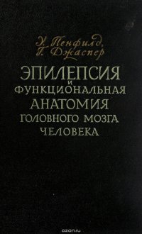 Эпилепсия и функциональная анатомия головного мозга человека