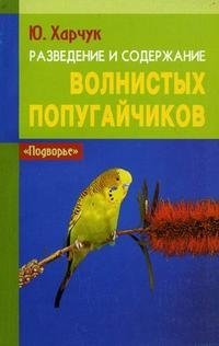 Разведение и содержание волнистых попугайчиков