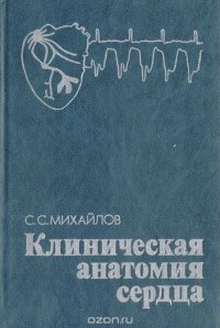 Клиническая анатомия сердца