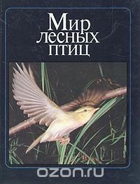 Мир лесных птиц