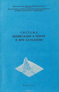 Система бификсации в норме и при патологии