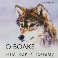 О волке. Что, как и почему