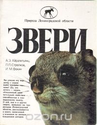 Звери