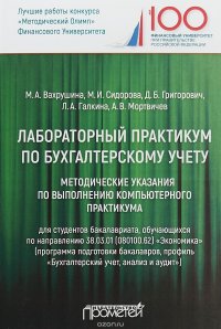 Лабораторный практикум по бухгалтерскому учету. Методические указания по выполнению компьютерного практикума