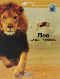 Лев - хозяин саванны