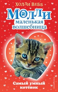 Самый умный котенок