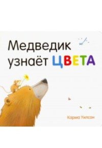 Медведик узнает цвета