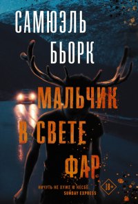 Мальчик в свете фар