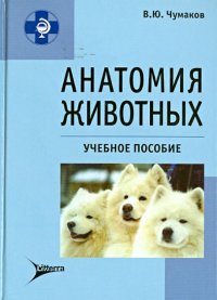 Анатомия животных: учебное пособие