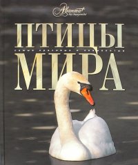 Птицы мира