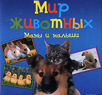 Мир животных. Мамы и малыши