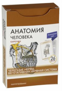 Анатомия человека.Черепные нервы. Карточки (26 шт)