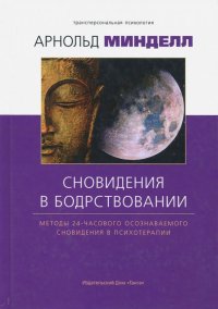 Сновидение в бодрствовании. Методы 24-часового осознаваемого сновидения в психотерапии