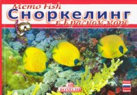 Мemo Fish. Сноркелинг в Красном  море