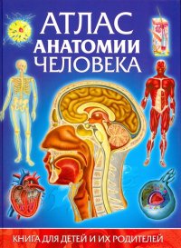 Атлас анатомии человека. Книга для детей и их родителей