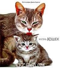 Жизнь кошек