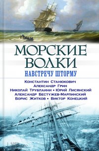 Морские волки. Навстречу шторму (сборник)