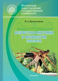 Возрастная анатомия и физиология. Практикум