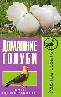 Домашние голуби. Породы, содержание, разведение