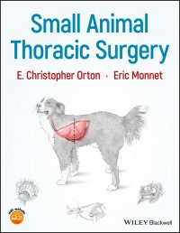 Small Animal Thoracic Surgery