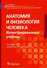 Анатомия и физиология человека. Учебник для СПО