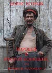 Воробей в пустой конюшне, или Исповедь раздолбая – 2