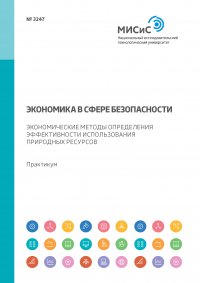 Экономика в сфере безопасности. Экономические методы определения эффективности использования природных ресурсов. Практикум