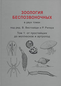 Зоология беспозвоночных. В 2 томах. Том 1. От простейших до моллюсков и артропод