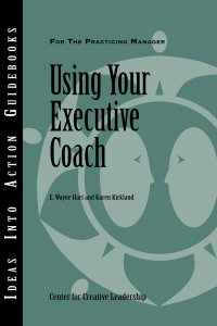 Using Your Executive Coach