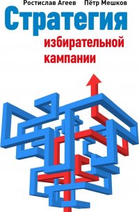 Ростислав Агеев - «Стратегия избирательной кампании»