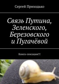 Связь Путина, Зеленского, Березовского и Пугачевой. Книга-сенсация!!!