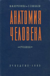 М. М. Курепина, Г. Г. Воккен - «Анатомия человека»