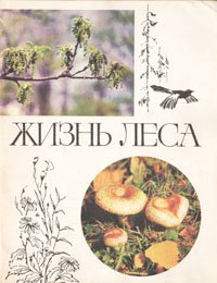 Жизнь леса