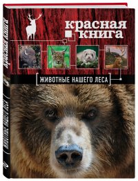 Красная книга. Животные нашего леса (ПР)