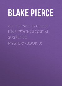 Cul de Sac (A Chloe Fine Psychological Suspense Mystery-Book 3)