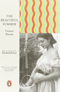 The Beautiful Summer (Penguin European Writers)