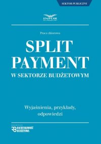 Split Payment w sektorze budżetowym