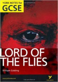 Lord of The Flies: York Notes for GCSE