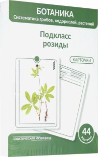 Ботаника. Систематика грибов, водорослей, растений. Подкласс розиды. 44 карточки