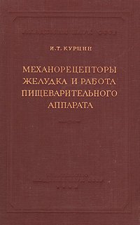 Механорецепторы желудка и работа пищеварительного аппарата