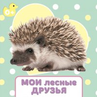 Мои лесные друзья