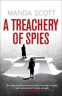 A Treachery of Spies