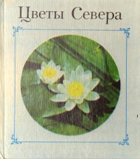 Цветы Севера