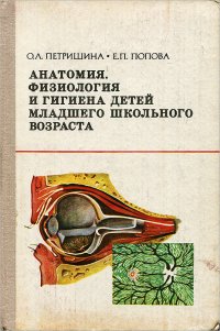 Анатомия, физиология и гигиена детей младшего школьного возраста