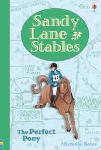 Sandy Lane Stables The Perfect Pony (Young Reading) (Young Reading Plus)