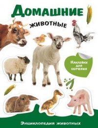 ЭНЦИКЛОПЕДИЯ ЖИВОТНЫХ С НАКЛ. Домашние животные